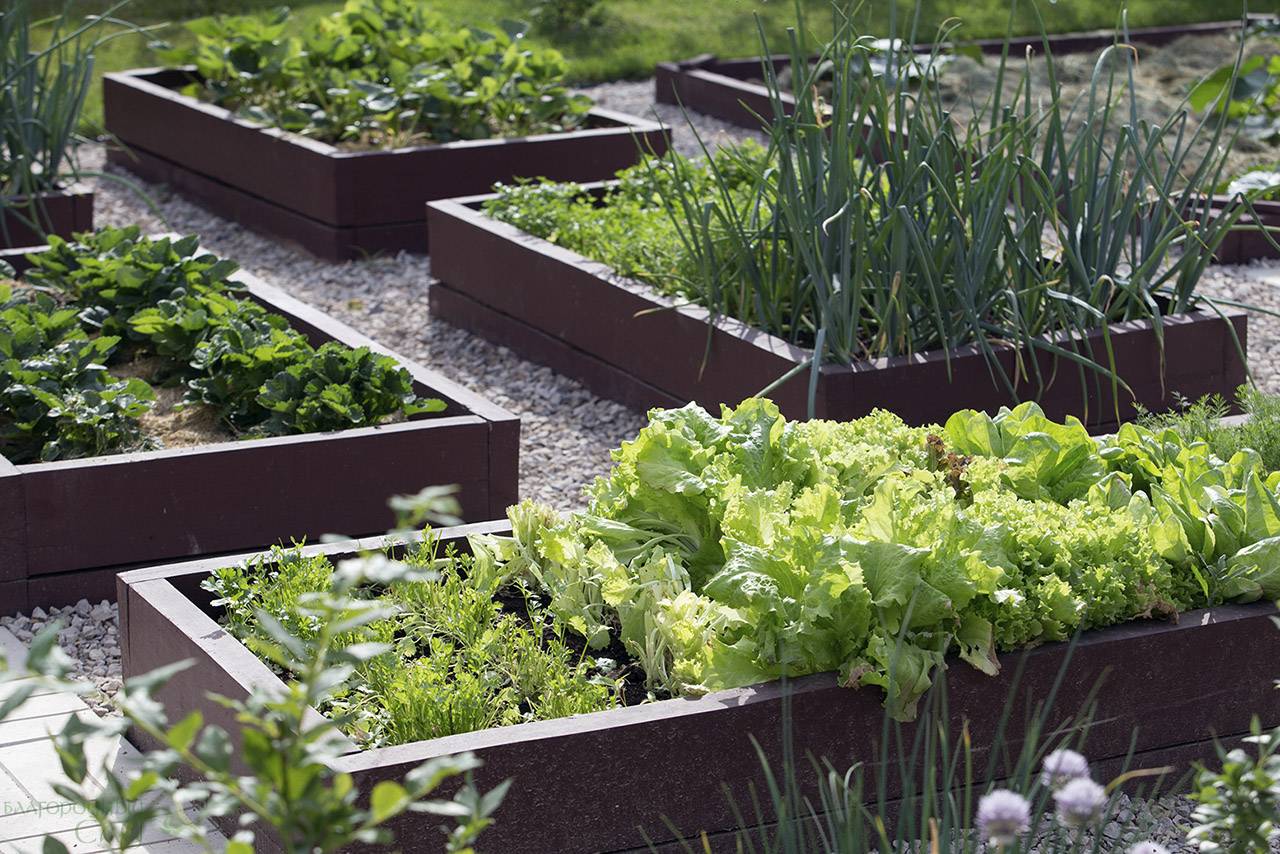 Проект Крекшино