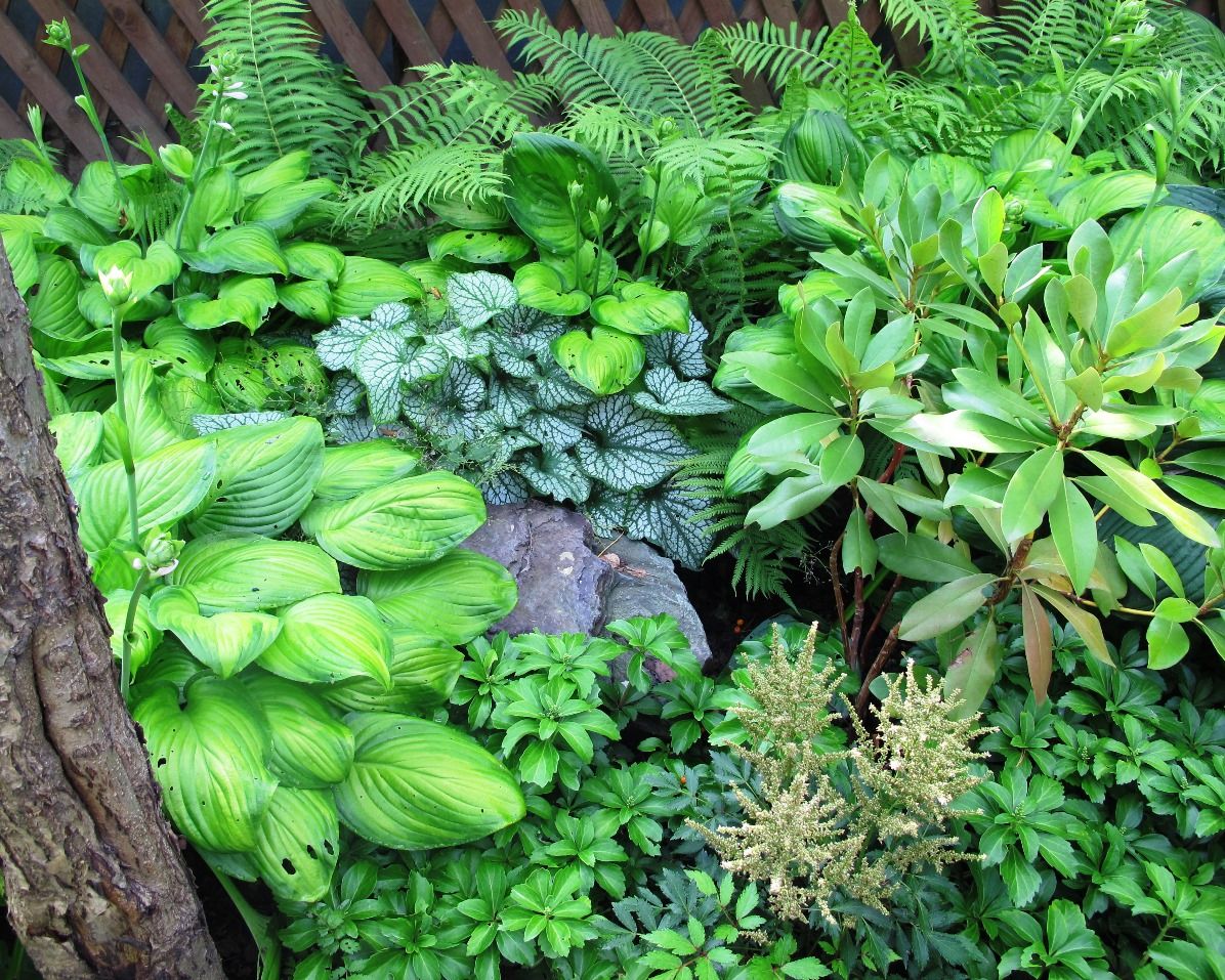 Проект Переделкино